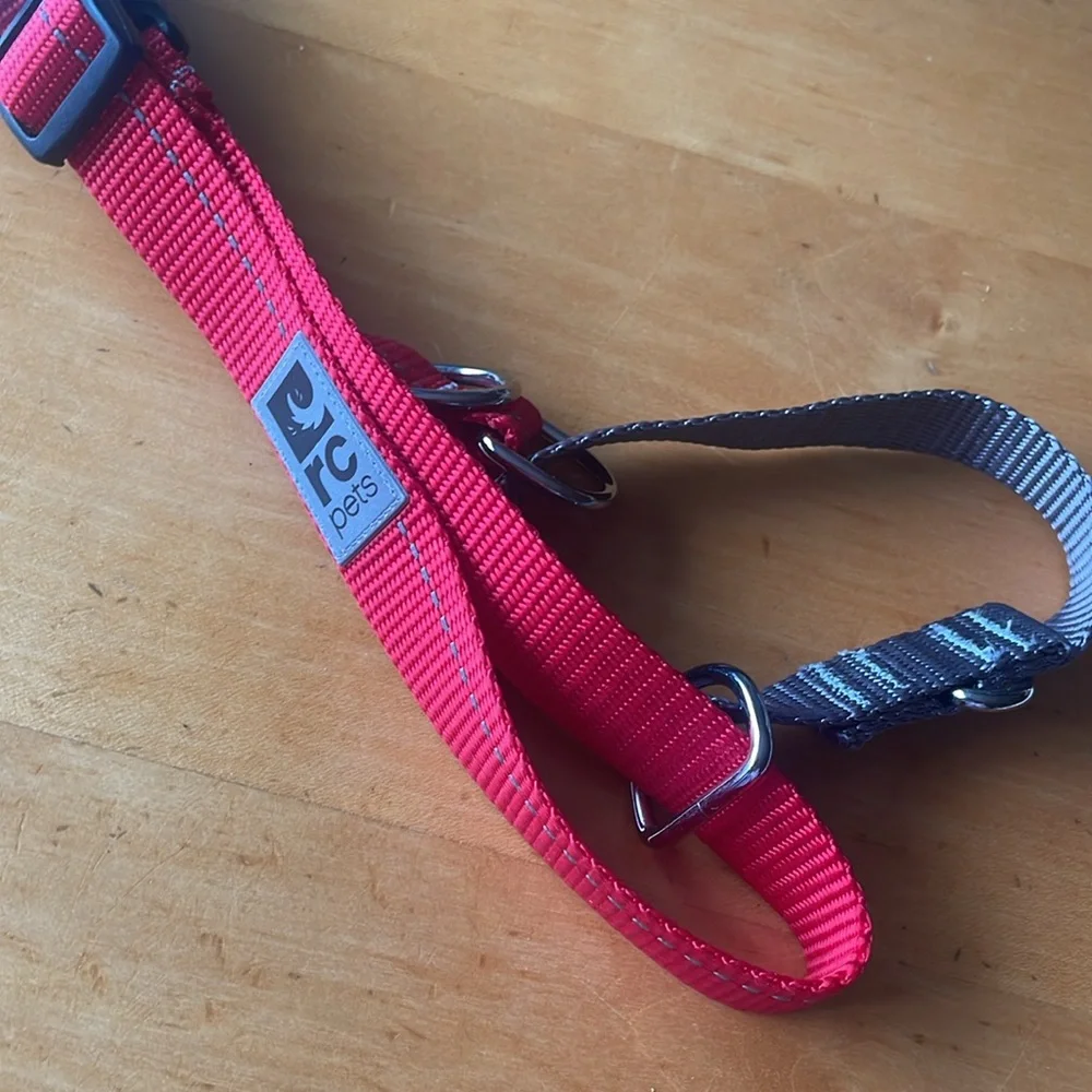 RC Pets martingale clip collar 19”-26” (large)